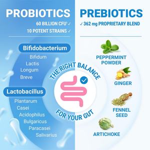Suplemento Probiótico Premium que Ayuda a Aliviar el Estreñimiento Ocasional, Probióticos para la Salud Digestiva, 30 Cápsulas - Product Image 4