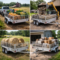 Nouvelle Conception Remorque Caisse Galvanisée 8x5 avec Cage pour Déménagement et Stockage Domestique