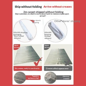 Tapis de luxe haut de gamme en velours cristal, nouveau modèle 2026, style nordique, idéal pour salon, canapé, table basse, chambre à coucher, grande surface, lavable - Product Image 2