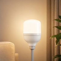 Ampoule LED E27 grande taille, haute puissance, boîtier en plastique, plusieurs puissances de 5W à 60W, éclairage LED intérieur