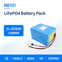 Paket Baterai LiFePo4 51.2V 25Ah Khusus untuk Penyimpanan Energi Perkakas Listrik