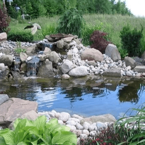 Vente en gros de paysage naturel, purification de l'eau, décoration de piscine de jardin, pavés, cailloux, aménagement paysager extérieur