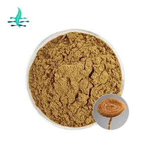 Supply High Quality Tiger Milk Mushroom Extract 30% Polysaccharide