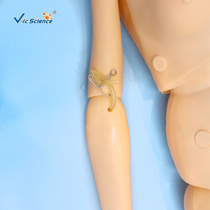 Modelo Humano de Enfermería: Simulador de Práctica de Enfermería Modular Multifuncional Educativo Vic - Product Image 4