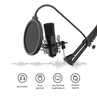 Équipement de studio OEM pour l'enregistrement de musique professionnelle Production musicale Microphone suspendu pour salle KTV filaire en métal noir