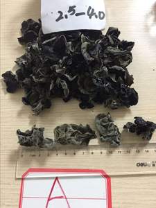 निर्यात अच्छी गुणवत्ता सूखी काले कवक मशरूम - Product Image 5