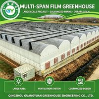 Serre en film multi-spans personnalisée pour la culture de semis de légumes, équipée de systèmes de ventilation et d'irrigation