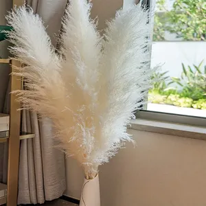 China Factory Pampas Grass Luxury Flower Plume Dried Reed Pampas Grass For Decoration