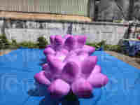 Fleurs gonflables géantes d'Inflatables de publicité commerciale de ch pour le but décoratif