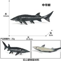 Yxs enfants simulation poisson d'eau douce animal marin esturgeon esturgeon chinois modèle jouet main en plastique