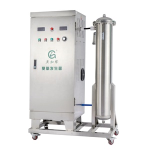 Generador de ozono de alta concentración de 100 g/H para tratamiento de aguas residuales - Product Image 2