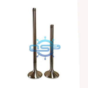 Locomotive Diesel Engine Spare Parts Intake Valve Exhaust valves spindles For RUSSIA D50