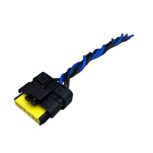厂家直销 DSYP 汽车电动燃油泵线束插头连接器带端子燃油泵插头连接器 - Product Image 1