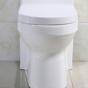 Al por mayor-trampa de <span class=keywords><strong>doble</strong></span> <span class=keywords><strong>descarga</strong></span> sifón de cuarto de baño de cerámica una pieza piso montado <span class=keywords><strong>wc</strong></span> - Product Image 6