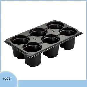 Plastic PS Material Plant corinder seeding Nursery Tray for Vegetable Plant Growing 6 Cells deep root seed startibg tray