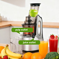 Eenvoudig Te Bedienen Automatische Thuis Multifunctionele Lage Snelheid Vers Fruit Juicer