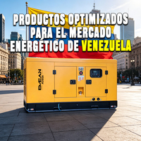 Générateurs diesel portables silencieux de secours pour maison au Venezuela, 35 Kva, 20000 Watts pour la maison