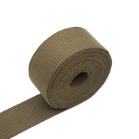 Ruban dédié 10-60mm ceinture formation vêtements accessoires épaissi Polyester tissu tissé plaine ceinture sangle