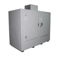 Congélateur extérieur à 2 portes pour glace en sac, avec porte pleine, refroidissement direct, bac de présentation de glace, en acier galvanisé, dégivrage automatique