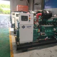 Heim-Notstrom-DC-Generator mit Biogas & Erdgas 24V DC Elektrostart 95% Effizienz