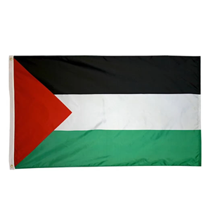 Drapeaux palestiniens/Union Jack/mexicains, fanions d'extérieur 3x5 pieds, forme triangulaire, rayures colorées - Product Image 1