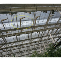 Grande serre en verre personnalisée pour l'agriculture en plein air avec système hydroponique pour une culture efficace des légumes