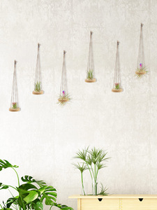 Étagère <span class=keywords><strong>en</strong></span> <span class=keywords><strong>bois</strong></span> 6 pièces support de <span class=keywords><strong>plante</strong></span> d'air <span class=keywords><strong>en</strong></span> <span class=keywords><strong>bois</strong></span> suspendu-3.1 "cintre de <span class=keywords><strong>plante</strong></span> d'air <span class=keywords><strong>en</strong></span> <span class=keywords><strong>bois</strong></span> de pin rond avec des cordes de jute support de <span class=keywords><strong>plante</strong></span> d'air - Product Image 5