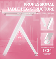 Bureau de jeu à LED Finition fibre de carbone Chargement sans fil USB Pad PC Table d'ordinateur Réel 120cm RGB Table de jeu Crochet pour casque d'écoute Rose