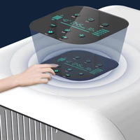 Sèche-cheveux automatique pour animaux de compagnie, vente chaude en usine, sèche-cheveux intelligent pour toilettage des chiens, machine à sécher les animaux de compagnie avec grande capacité