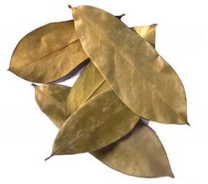 Vente en gros de feuilles de corossol BourNeels Graviola séché 1kg pour tisane biologique, séchée au soleil et frais de la ferme - Product Image 3