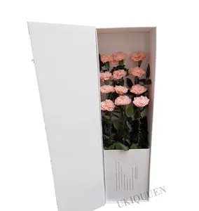 Mother Valentine's Gifts Real Natural Long Rose Stem Eternal Flower Preserved Carnation in Beautiful Box