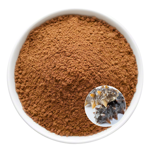 Extrait de concombre de mer de qualité adulte Rehausseur de goût en poudre de qualité alimentaire pour bouillons et soupes pas pour les femmes enceintes - Product Image 1