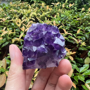 Sản Phẩm Mới Tinh Thể Tự Nhiên Thủ Công Chất Lượng Cao Thạch Anh Tím Cụm Cho Trang Trí - Product Image 6