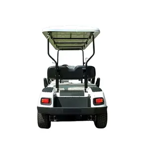 Usine fournisseur 8 places moteur électrique voiture de golf véhicule adulte chariot de golf électrique