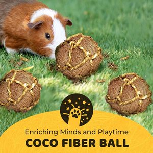Juguete Masticable <span class=keywords><strong>para</strong></span> Mascotas Pequeñas, <span class=keywords><strong>Bola</strong></span> Masticable Duradera de Fibra de Coco <span class=keywords><strong>para</strong></span> <span class=keywords><strong>Roedores</strong></span>, Cobayas, Hecha de Bambú con Hojas de Alfalfa y Albaricoque <span class=keywords><strong>para</strong></span> Conejos - Product Image 4