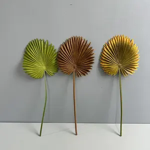 Éventails en feuilles de palmier artificielles pour décoration de <span class=keywords><strong>mariage</strong></span>, plantes artificielles, feuilles de palmier en plastique souple, 19 cm, vente chaude - Product Image 5