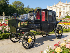 Vehículo Utilitario, Precio de Fábrica, Escultura de Carruaje sin Caballos, Carruaje Real, Transporte Eléctrico Especial - Product Image 4