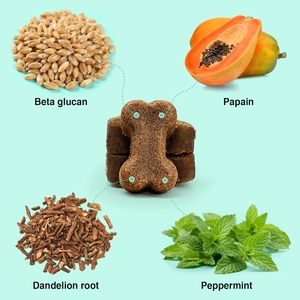 Golosinas Masticables Probióticas para Perros para la Salud Intestinal y el Apoyo Inmunológico, Absorción Rápida - Golosinas Masticables Probióticas para Perros - Product Image 2