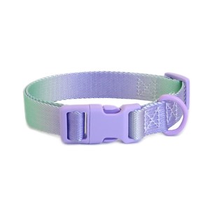 Collares Ajustables de Nailon para Gatos con Cierre de Hebilla en Colores Arcoíris para Gatos Pequeños, Estilo para Todas las Estaciones - Product Image 5
