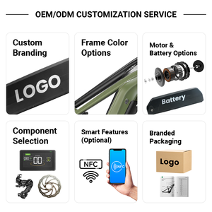 Bici elettriche <span class=keywords><strong>Cargo</strong></span> con deposito e sedili consegna 2 ruote Ebike per bambini animali da vendita - Product Image 4