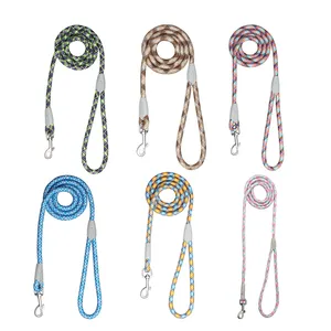 Reflecterende Veilige Aangepaste Logo Goedkope Huisdier Riem Fashion Streamer Serie Nylon Huisdier Riem Voor Hond Accessoires Huisdier Producten