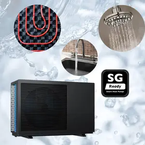 Sunrain OEM Полный инвертор A +++ моноблок воздух-вода тепловой насос R290 для отопления и охлаждения с холодным климатом
