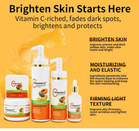 Ensemble éclaircissant pour la peau de marque privée riche en vitamine C atténue les taches brunes Correcteurs de pigmentation et protège l'ensemble de soins de la peau en vitamine C