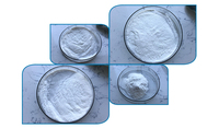 Probiotiques de qualité alimentaire Lactobacillus Salivarius