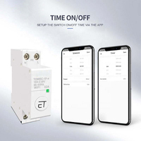 Interrupteur relais intelligent WiFi Solivo Mini 240V AC, contrôle vocal à distance via l'application Tuya, minuterie, module de maison intelligente OEM ODM