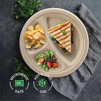 Assiettes jetables en papier 100 % compostables, très résistantes, 9 pouces [Lot de 125] – Plateaux repas sectionnés en bagasse, certifiés sans BPA et sans PFAS