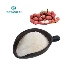B.C.I Fornecimento Venda Quente Lichia Em Pó Lichia Litchi Frutas Em Pó Bebidas Sólidas Instantâneas - Product Image 1