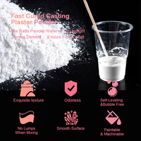 TIMESRUI 500g Poudre de Gypse Haute Pureté Ultra Fine Blanche Haute Résistance, Plâtre d'Art pour Sculpture, Moulage Céramique, Artisanat DIY