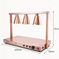 Équipement de restauration commerciale Lampe chauffante pour aliments Plateau chauffant électrique en acier inoxydable