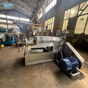 เครื่องกดน้ำมันขนาดเล็กสำหรับใช้ในบ้าน สำหรับเมล็ดมัสตาร์ด เมล็ดฝ้าย และกากมะพร้าว พร้อมระบบกรองน้ำมันแบบสุญญากาศ - Product Image 1